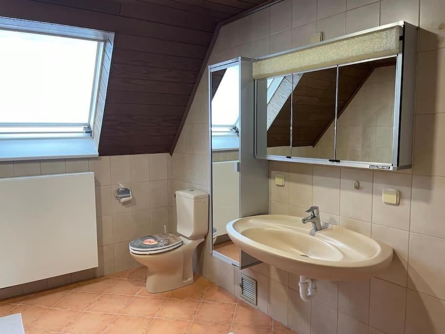 Maisonette Apartment Family & Business Naehe Heidelberg I Kueche I 6 Schlafplaetze Sinsheim Exterior photo